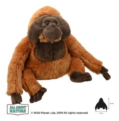 All About Nature Orangutan 23cm