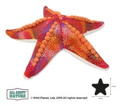 All About Nature Starfish 27cm