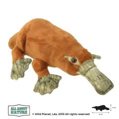 All About Nature Platypus 40cm