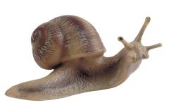Bullyland - Vineyard Snail
