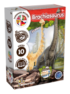 Brachiosaurus Fossil Excavation