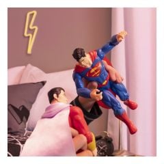 DC Universe 12in Figure Assorted