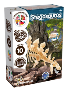 Stegosaurus Fossil Excavation