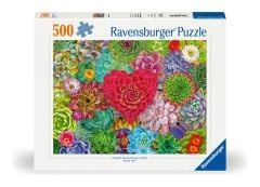 Succulent Love, 500pc